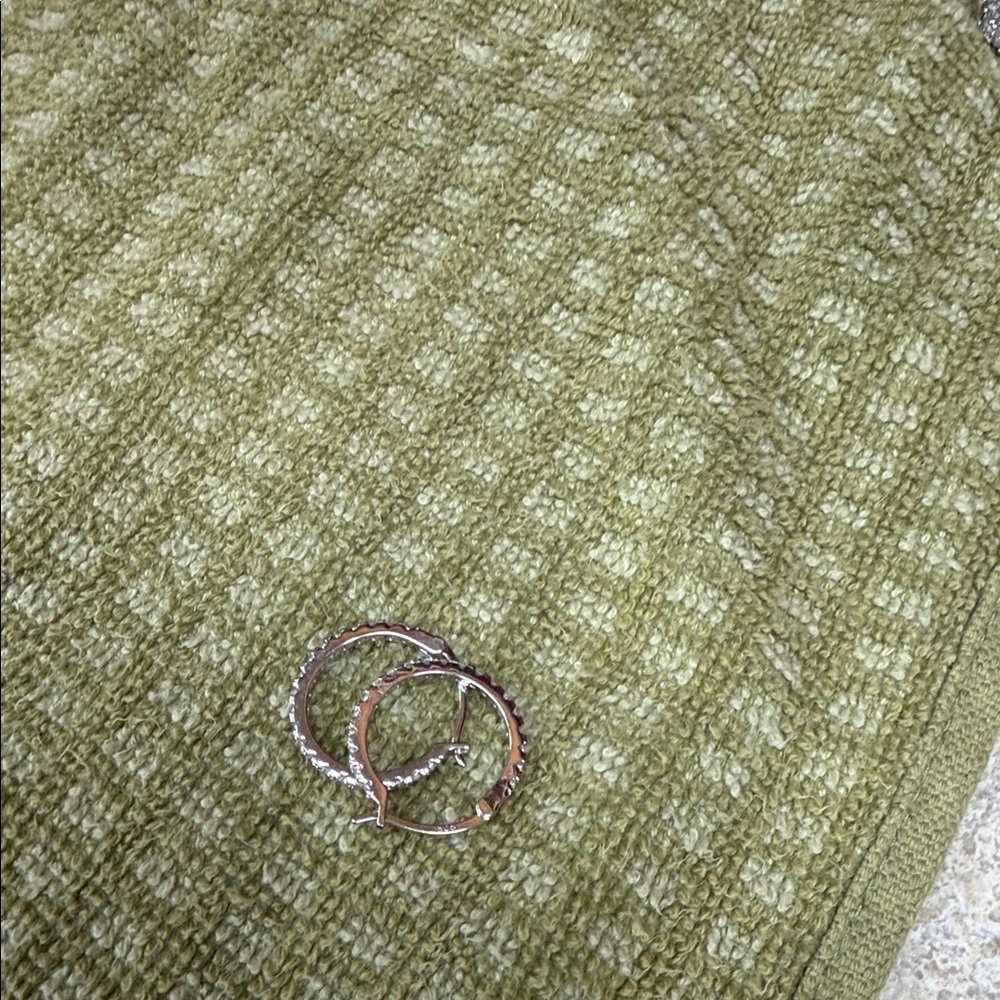 Elegant Silver Hoop Earrings